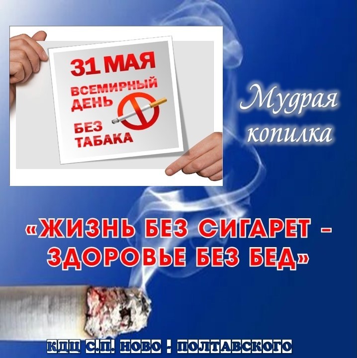 31.05.25