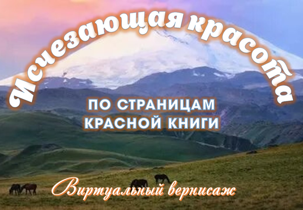 Вернисаж
